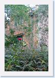 IMG_9529 * 2304 x 3456 * (3.41MB)