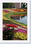 IMG_9554 * 2304 x 3456 * (5.03MB)
