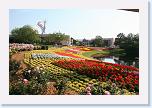 IMG_9555 * 3456 x 2304 * (4.73MB)