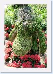 IMG_9601 * 2304 x 3456 * (6.07MB)