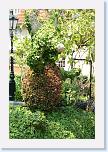 IMG_9602 * 2304 x 3456 * (5.5MB)
