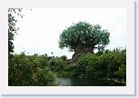 IMG_9619 * 3456 x 2304 * (3.02MB)