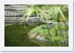 IMG_9629 * 3456 x 2304 * (3.64MB)