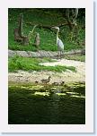 IMG_9665 * 2304 x 3456 * (4.13MB)