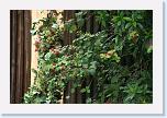 IMG_9668 * 3456 x 2304 * (3.93MB)
