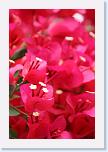 IMG_9670 * 2304 x 3456 * (3.05MB)