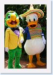 IMG_9704 * 2304 x 3456 * (3.35MB)