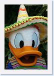 IMG_9706 * 2304 x 3456 * (2.95MB)