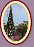 IMG_8985 * 2304 x 3456 * (1.14MB)