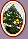 IMG_8987 * 2304 x 3456 * (1.29MB)