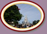 IMG_8992 * 3456 x 2304 * (752KB)