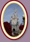 IMG_8996 * 2304 x 3456 * (836KB)