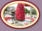 IMG_9000 * 3456 x 2304 * (759KB)