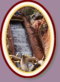 IMG_9013 * 2304 x 3456 * (1.63MB)