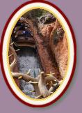 IMG_9014 * 2304 x 3456 * (1.41MB)