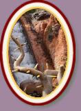 IMG_9016 * 2304 x 3456 * (1.32MB)