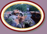 IMG_9024 * 3456 x 2304 * (1.46MB)