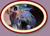 IMG_9025 * 3456 x 2304 * (1.19MB)