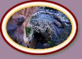 IMG_9026 * 3456 x 2304 * (1.46MB)
