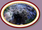 IMG_9027 * 3456 x 2304 * (1.35MB)