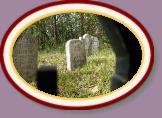 IMG_9043 * 3456 x 2304 * (1.64MB)