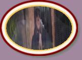 IMG_9049 * 3456 x 2304 * (601KB)