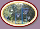 IMG_9070 * 3456 x 2304 * (1.44MB)