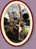 IMG_9130 * 2304 x 3456 * (1.64MB)