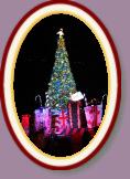 IMG_9204 * 2304 x 3456 * (1.1MB)