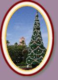 IMG_9205 * 2304 x 3456 * (1.8MB)