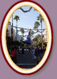 IMG_9209 * 2304 x 3456 * (1.53MB)