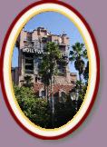 IMG_9219 * 2304 x 3456 * (1.81MB)