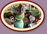 IMG_9228 * 3456 x 2304 * (1.06MB)