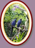 IMG_9384 * 2304 x 3456 * (1.71MB)