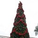 IMG_2955
