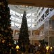 IMG_2958