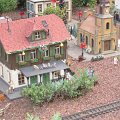IMG_0806