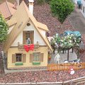 IMG_0809