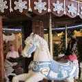 IMG_0903
