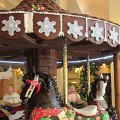 IMG_0904