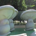 IMG_0911