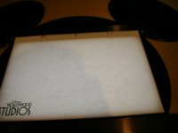 IMG 5873