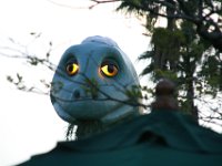 IMG 5887
