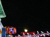 IMG 5895