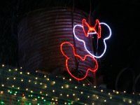 IMG 5909