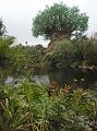 M0010299