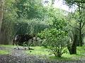 M0010351