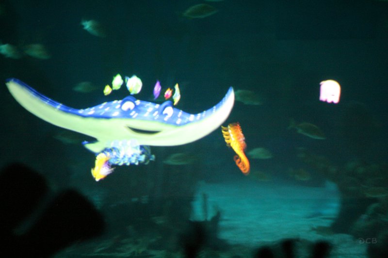 IMG_3408.JPG