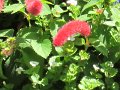 IMG_0653