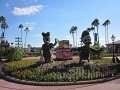 IMG_0666